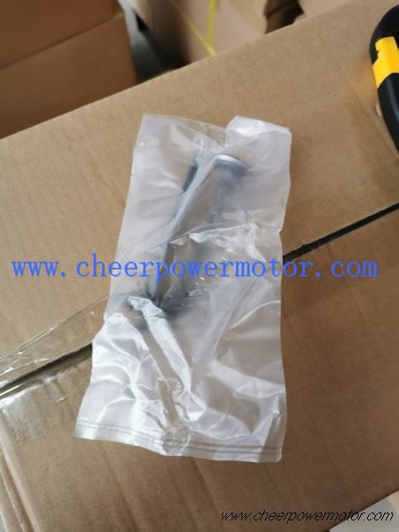 WIND 200 Inlet Engine Valve For Motorbike (1)