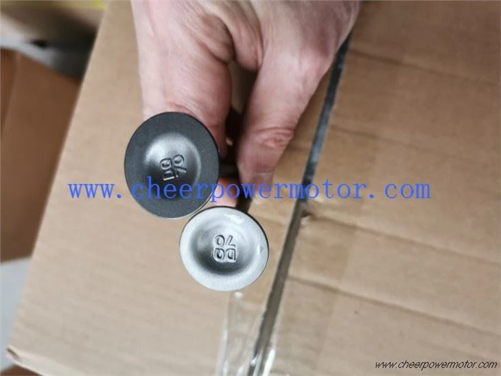 WIND 200 Inlet Engine Valve For Motorbike (3)